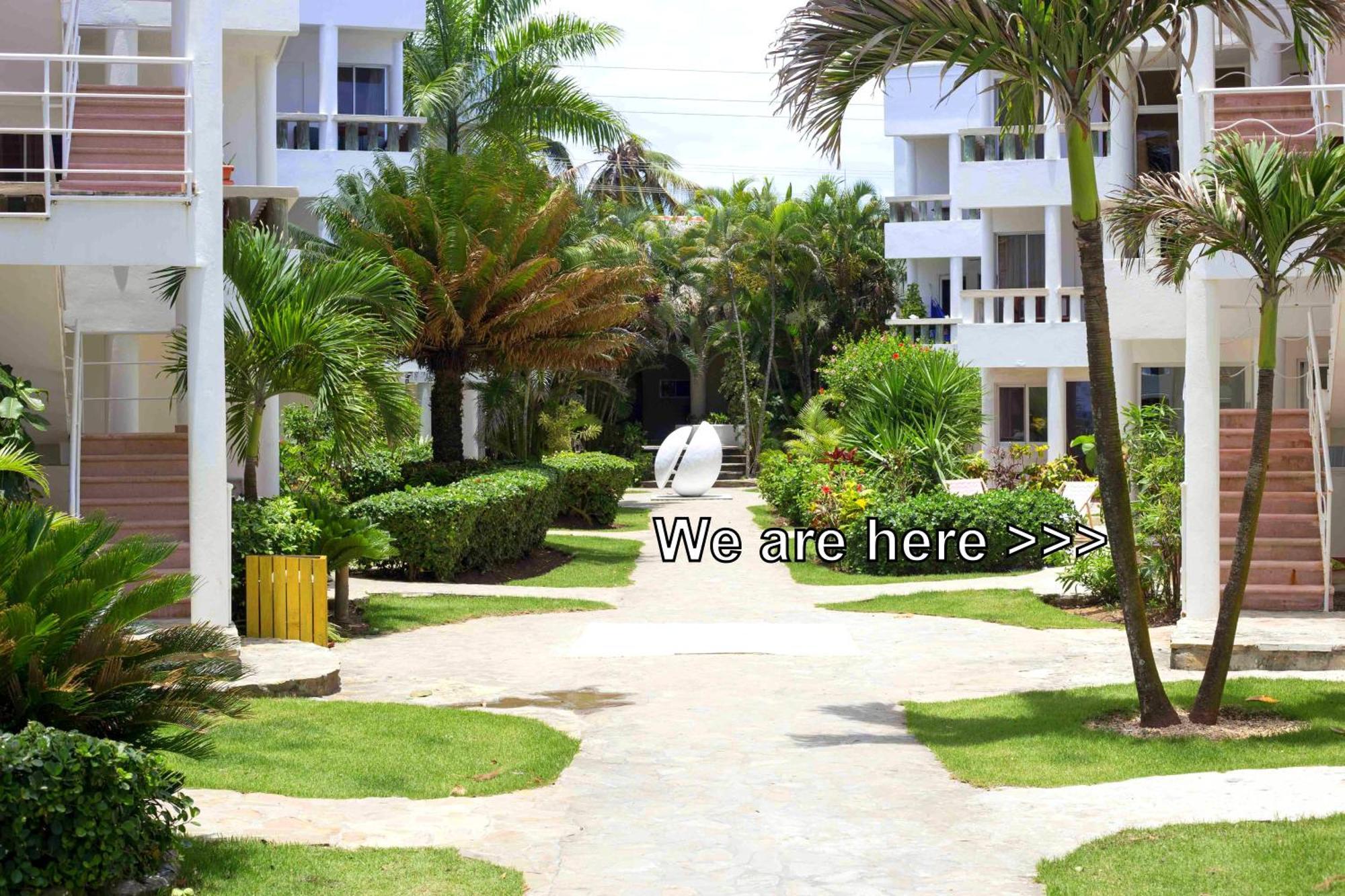 Condo Cabrinha - Direct On Kite Beach Cabarete Quarto foto